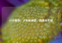 CF小南哥，十年枪神路，热血永不熄