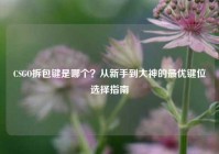 CSGO拆包键是哪个？从新手到大神的最优键位选择指南