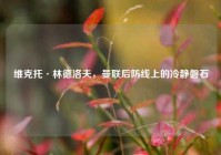 维克托·林德洛夫，曼联后防线上的冷静磐石
