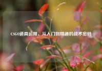 CSGO道具运用，从入门到精通的战术密码