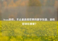 Steam游戏，不止是连接世界的数字乐园，游戏密钥在哪里？