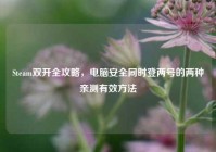 Steam双开全攻略，电脑安全同时登两号的两种亲测有效方法