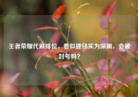 王者荣耀代刷排位，看似捷径实为深渊，会被封号吗？