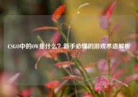 CSGO中的OW是什么？新手必懂的游戏术语解析