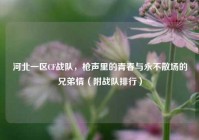 河北一区CF战队，枪声里的青春与永不散场的兄弟情（附战队排行）