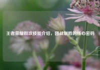 王者荣耀群攻技能介绍，团战制胜的核心密码