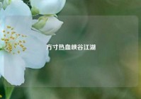 方寸热血峡谷江湖