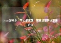 Steam游戏卡，不止是充值，更是玩家的快乐通行证