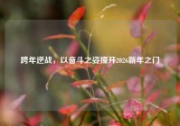 跨年逆战，以奋斗之姿撞开2026新年之门