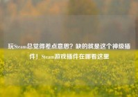 玩Steam总觉得差点意思？缺的就是这个神级插件！Steam游戏插件在哪看这里