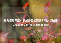 王者荣耀禁云中君成排位必修课？鸟人凭啥让玩家又爱又恨|禁英雄视频教学