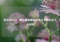 茄子与CSGO，藏在瞄准镜后的父与子时光及个人资料