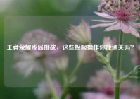 王者荣耀残局挑战，这些极限操作你能通关吗？