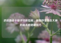 逆战狙战卡箱子终极指南，萌新秒变狙击大神的狙击枪隐藏技巧