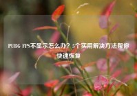 PUBG FPS不显示怎么办？5个实用解决方法帮你快速恢复