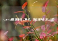 COD16战区港服现状解析，还能玩吗？怎么玩？