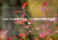 CSGO 144Hz设置全攻略，从卡顿到丝滑的蜕变指南