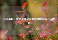 CSGO海报，定格赛场荣光的热血瞬间与不朽传奇