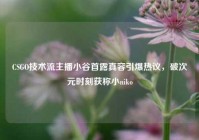 CSGO技术流主播小谷首露真容引爆热议，破次元时刻获称小niko