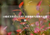 CF格式文件怎么打开？全面解析与实用方法指南