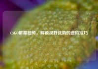 CSGO屏幕超频，解锁视野优势的进阶技巧
