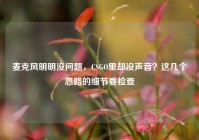 麦克风明明没问题，CSGO里却没声音？这几个忽略的细节要检查