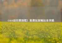 CSGO没付费别慌！免费玩家畅玩全攻略