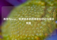 孤存与Steam，电竞选手的游戏平台印记与落日残霞