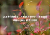 QQ王者荣耀标签，不止是身份标识，更是社交破圈的钥匙，附查找指南