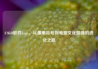 CSGO软件Logo，从像素符号到电竞文化图腾的进化之路