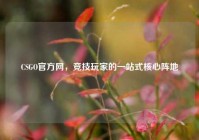CSGO官方网，竞技玩家的一站式核心阵地