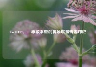 Lol11177，一串数字里的英雄联盟青春印记