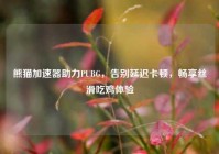 熊猫加速器助力PUBG，告别延迟卡顿，畅享丝滑吃鸡体验