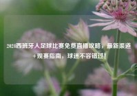 2024西班牙人足球比赛免费直播攻略，最新渠道+观赛指南，球迷不容错过！