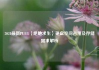 2024最新PUBG（绝地求生）硬盘空间占用及存储需求解析