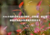PUBG小海职业级设置全解析，灵敏度、键位与画面优化助你快速提升竞技水平