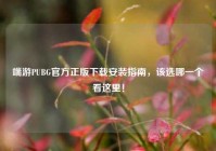 端游PUBG官方正版下载安装指南，该选哪一个看这里！