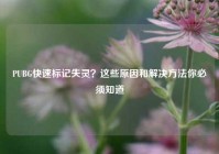 PUBG快速标记失灵？这些原因和解决方法你必须知道