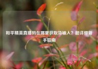 和平精英直播码在哪里获取及输入？超详细新手指南