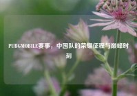 PUBGMOBILE赛事，中国队的荣耀征程与巅峰时刻