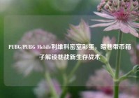 PUBG/PUBG Mobile利维科密室彩蛋，暗巷带币箱子解锁巷战新生存战术