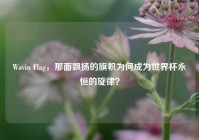Wavin Flag，那面飘扬的旗帜为何成为世界杯永恒的旋律？