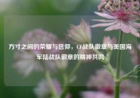 方寸之间的荣耀与信仰，CF战队徽章与美国海军陆战队徽章的精神共鸣