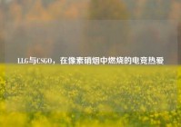 LLG与CSGO，在像素硝烟中燃烧的电竞热爱