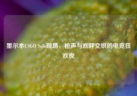 墨尔本CSGO Solo现场，枪声与欢呼交织的电竞狂欢夜