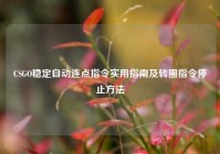 CSGO稳定自动连点指令实用指南及转圈指令停止方法