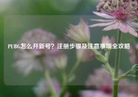 PUBG怎么开新号？注册步骤及注意事项全攻略