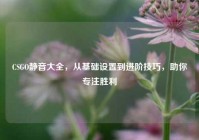 CSGO静音大全，从基础设置到进阶技巧，助你专注胜利