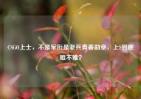 CSGO上士，不是军衔是老兵青春勋章，上S到底难不难？