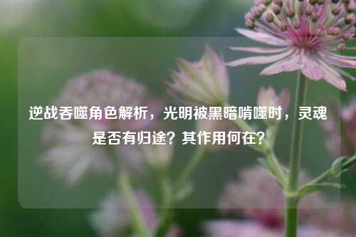 逆战吞噬角色解析，光明被黑暗啃噬时，灵魂是否有归途？其作用何在？